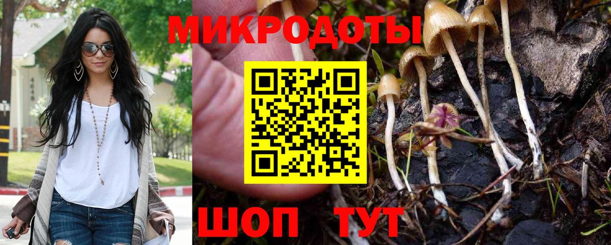 Бугульма  закладка  Вход с VPN  Псилоцибиновые грибы Psilocybe  Галлюциногенные грибы Psilocybe 
